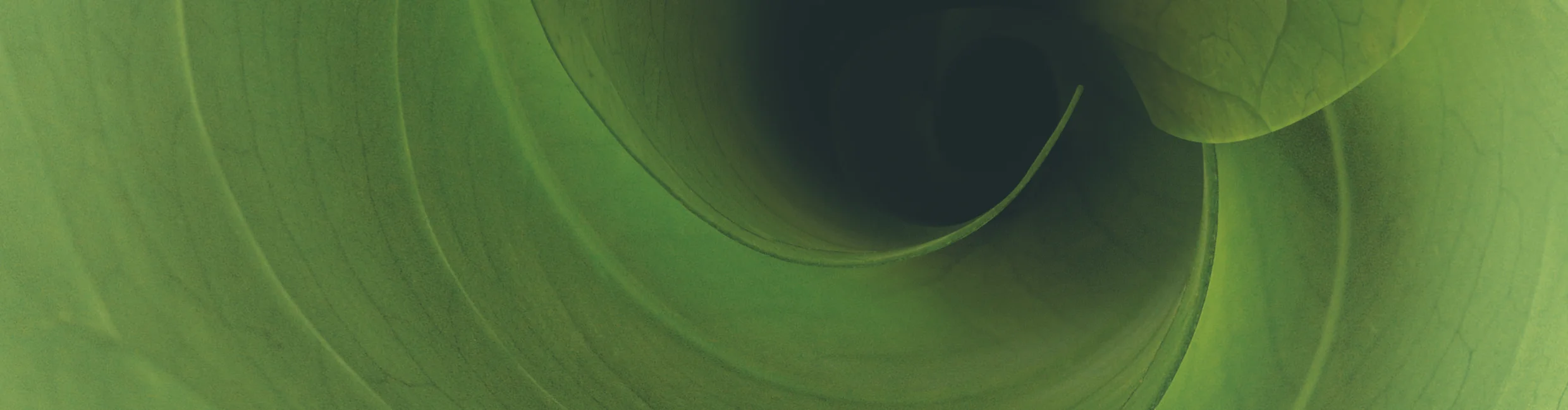 Waterless Drainage — LEAP NEW ZEALAND