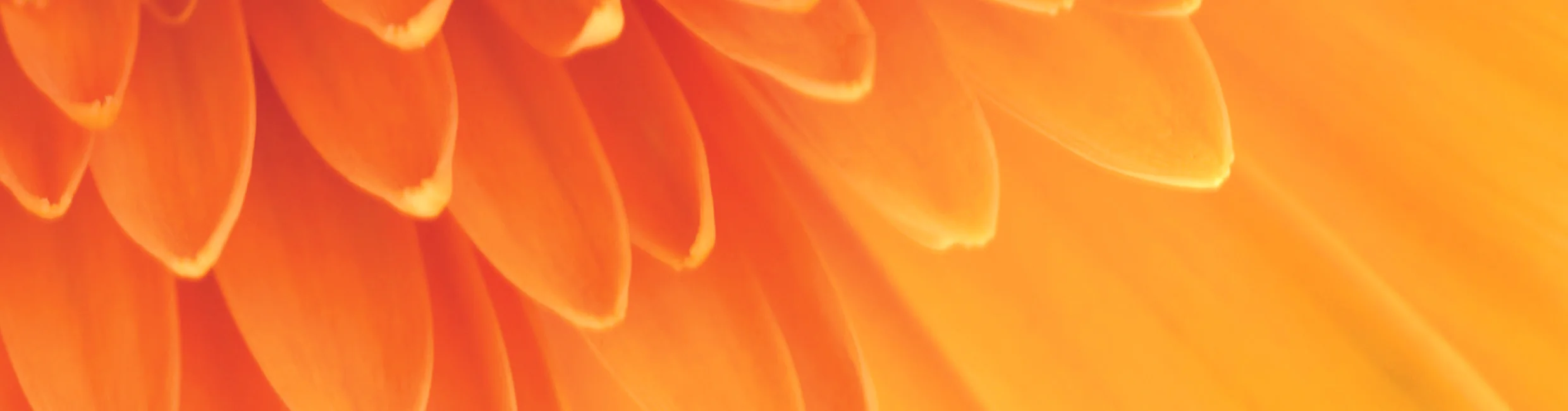 Website - Hot Water Heat Pumps Banner.jpg