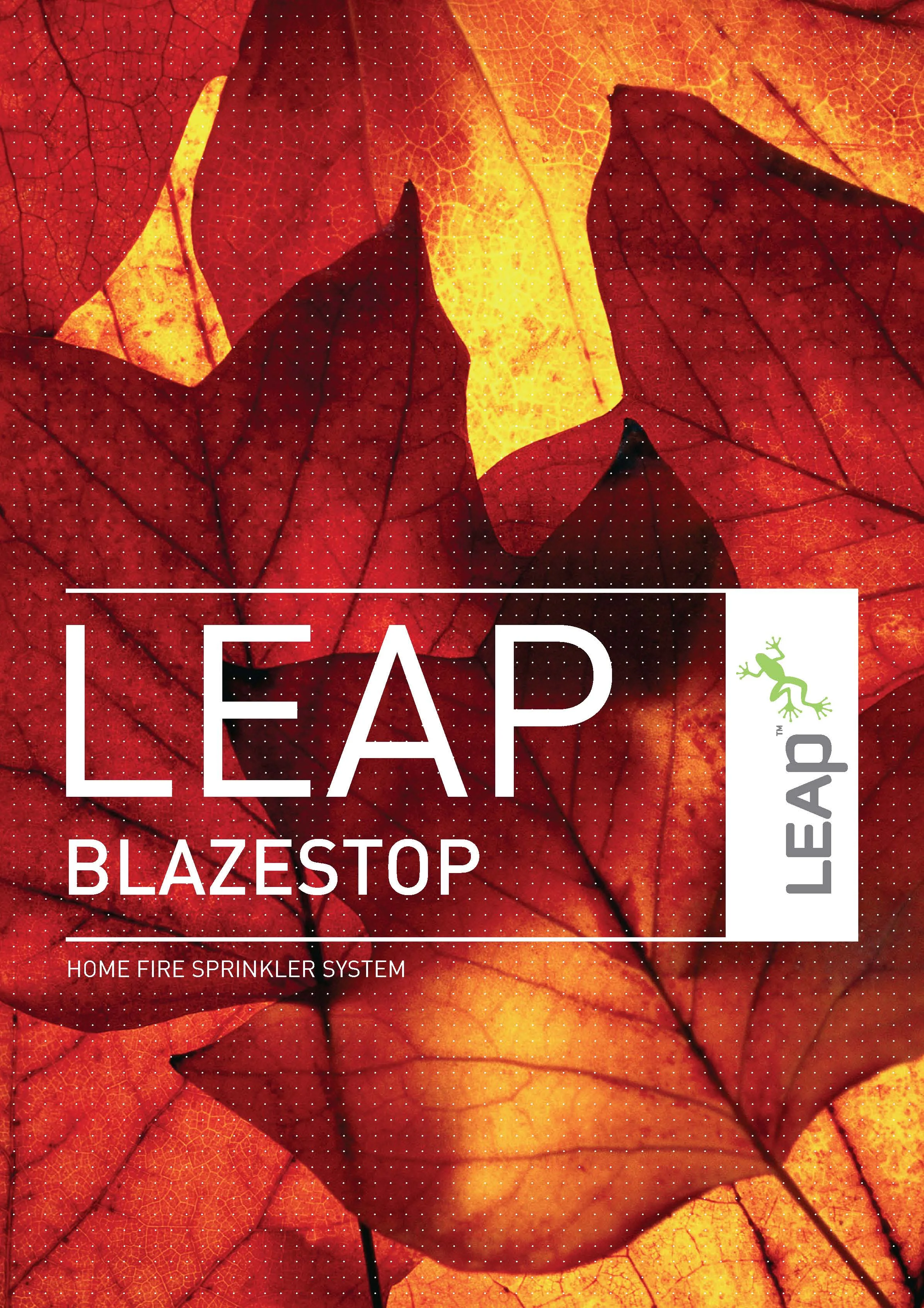 LEAP_BLAZESTOP_Jan18_lr 1.jpg