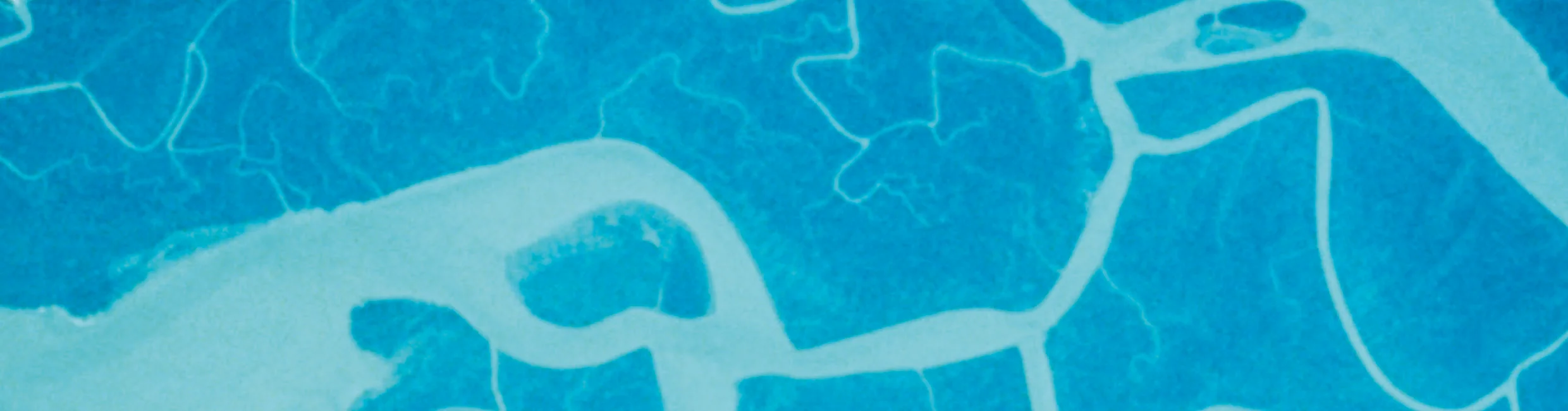 Website - HEP20 Banner.jpg