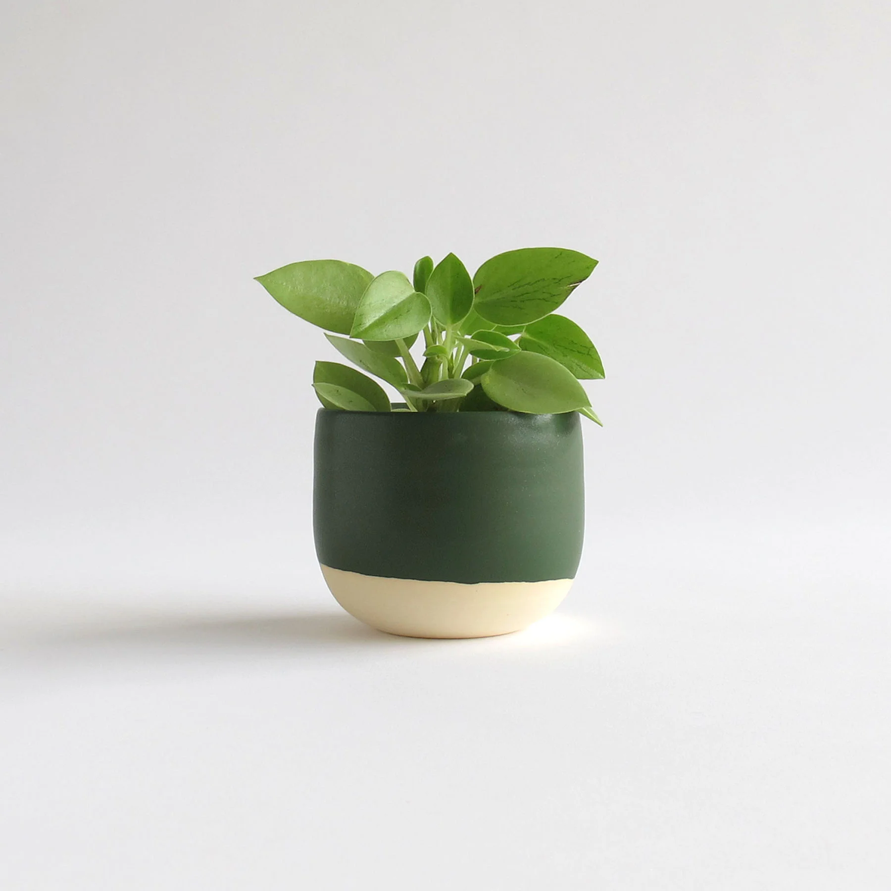 CGCERAMICS small planter in deep green | modern wheel thrown pottery & home decor | visit cg-ceramics.com to shop our collection | visit us on instagram @cgceramics