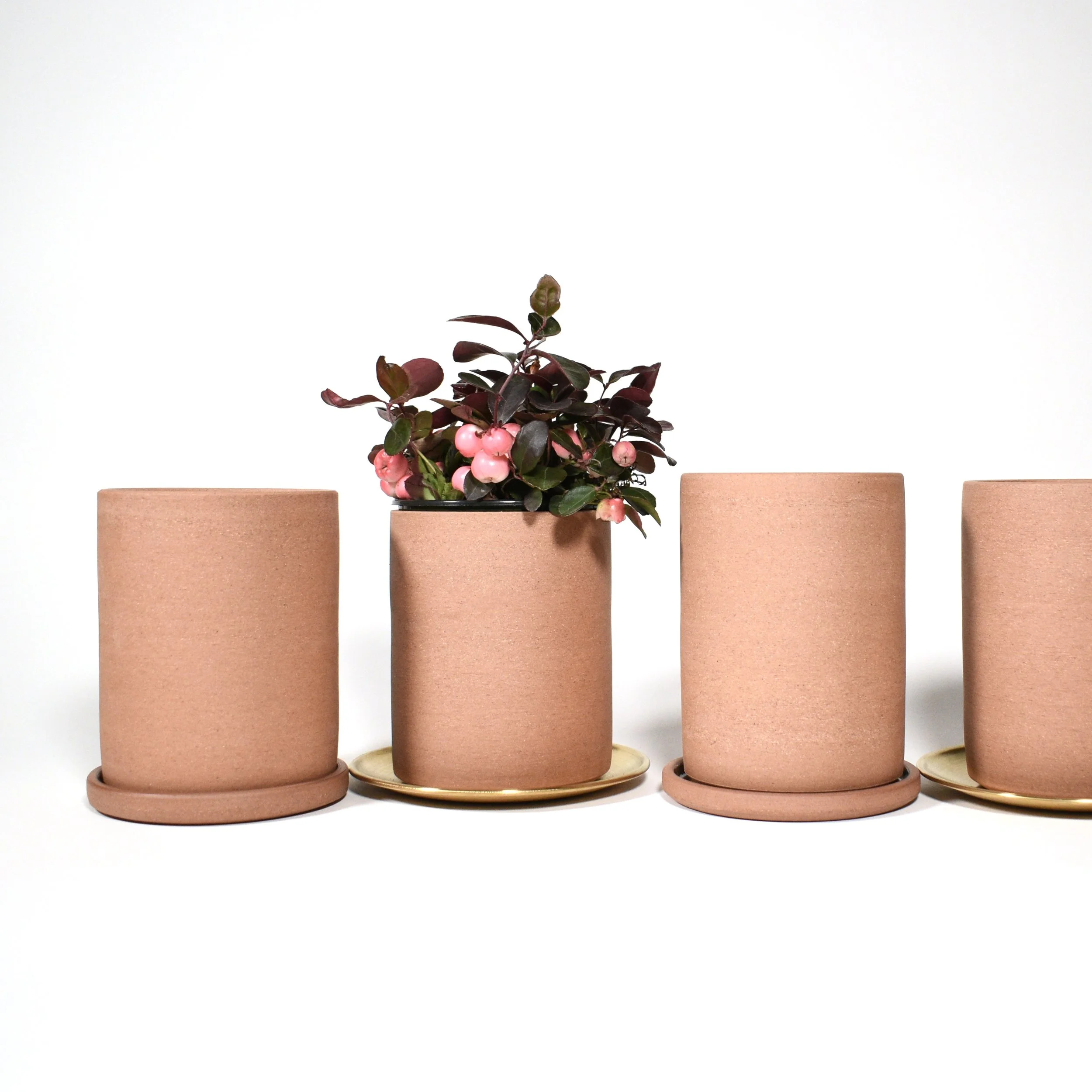 planter red small group.JPG