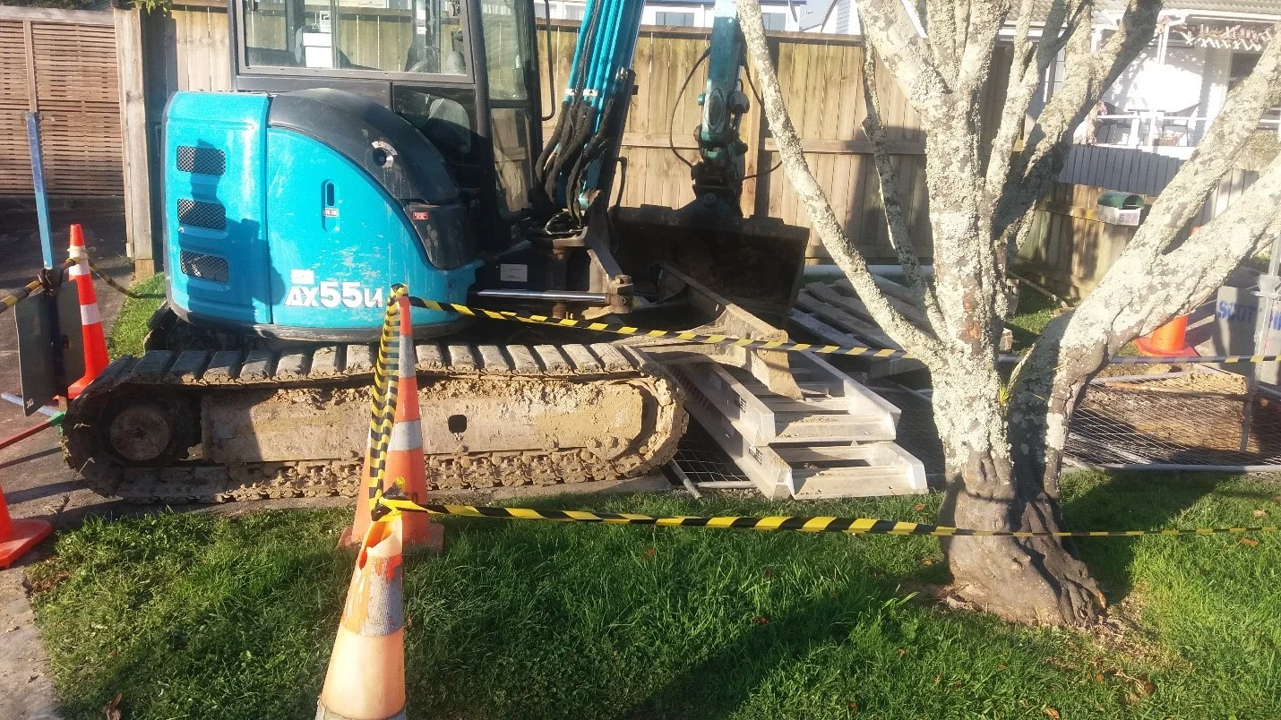 Some trees get a rough deal