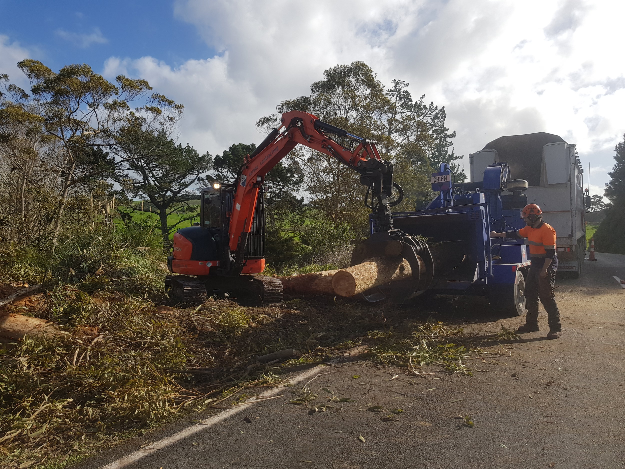 Large tree removal Waipu 2.jpg