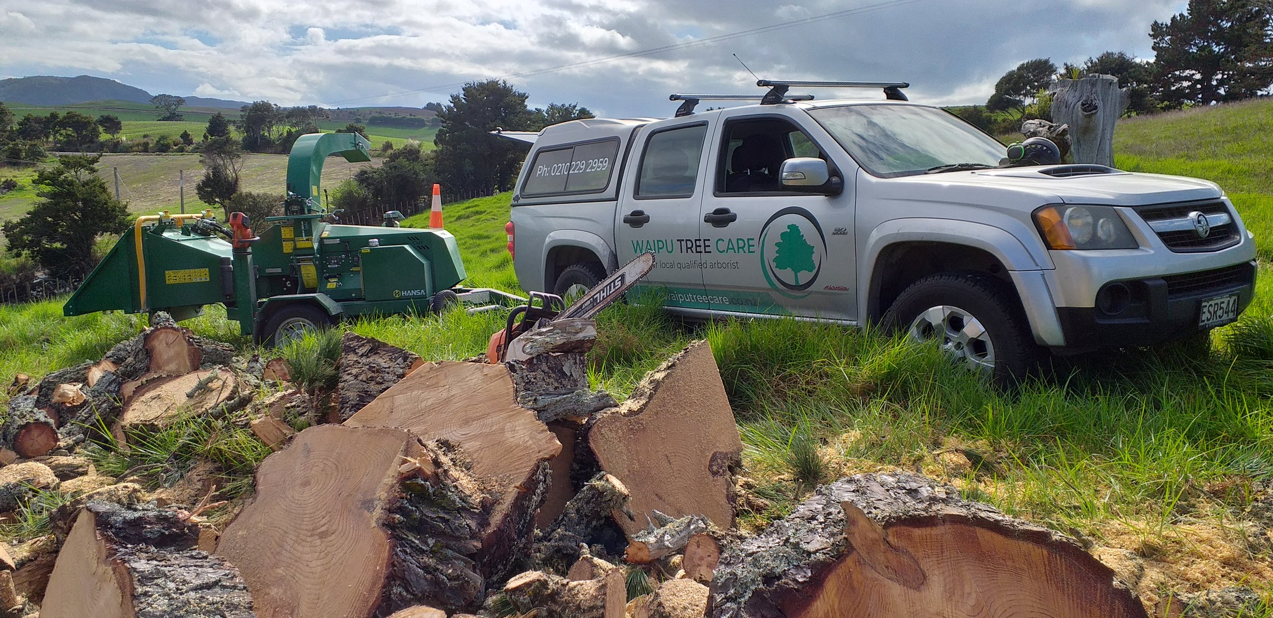 Tree removal Waipu.jpg