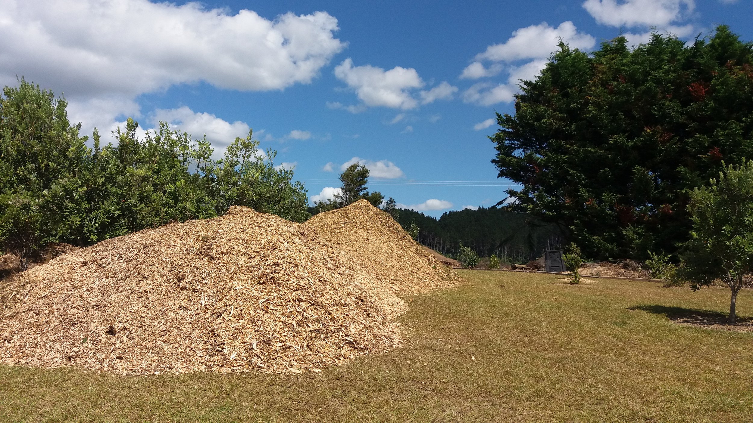 Wood chip Waipu.jpg