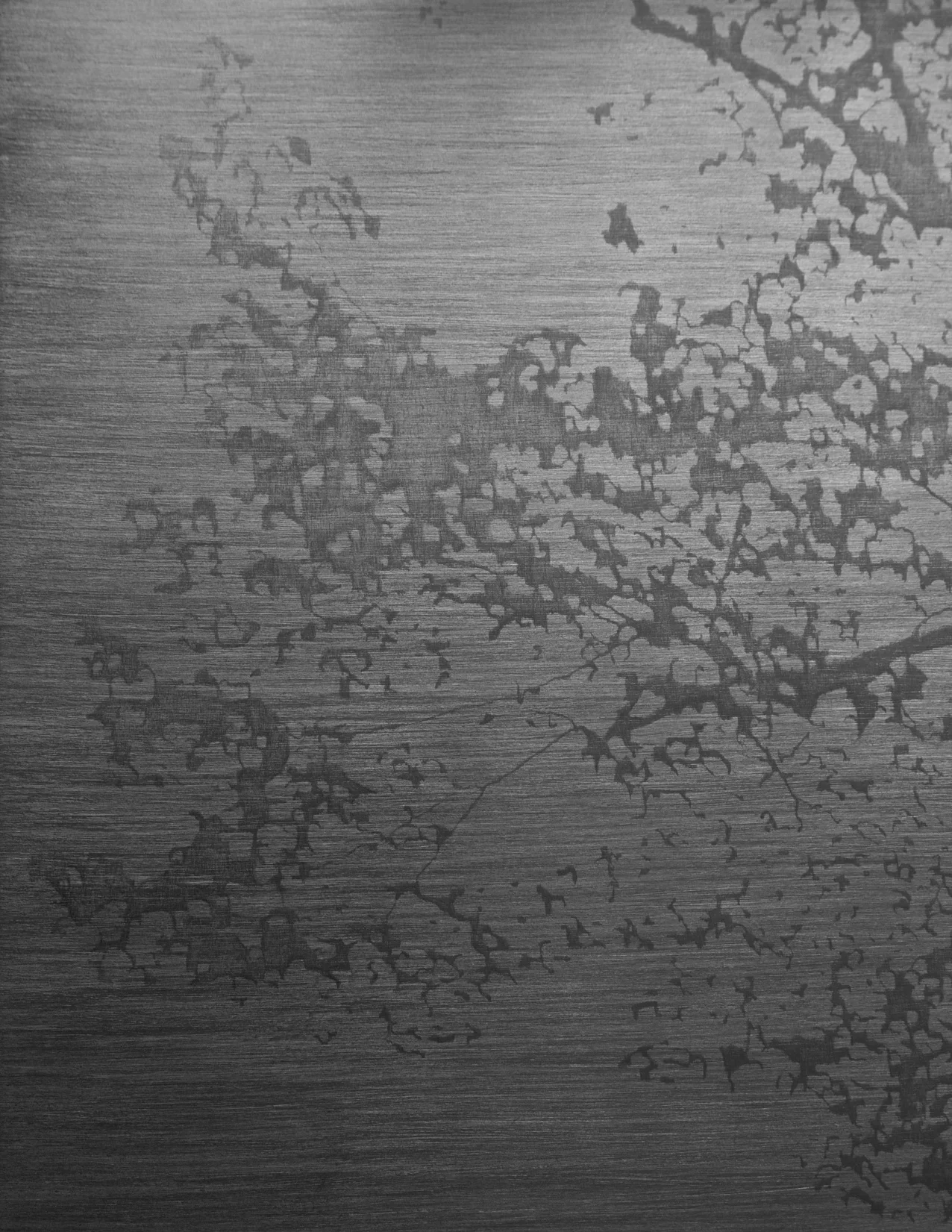 'Shadow' Graphite on board 76cm X 94cm