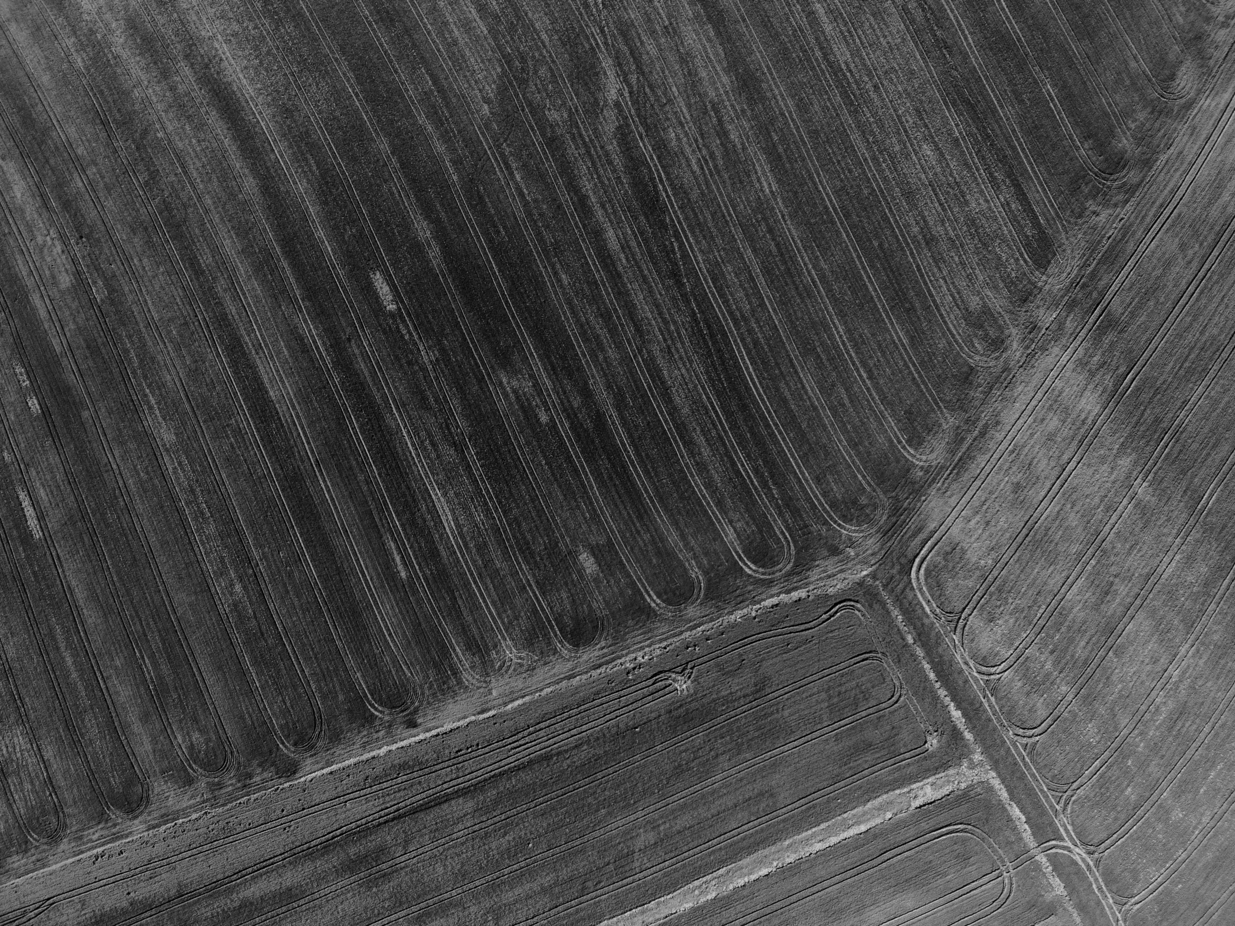 hakan-yalcin-641692-unsplash-bw.png