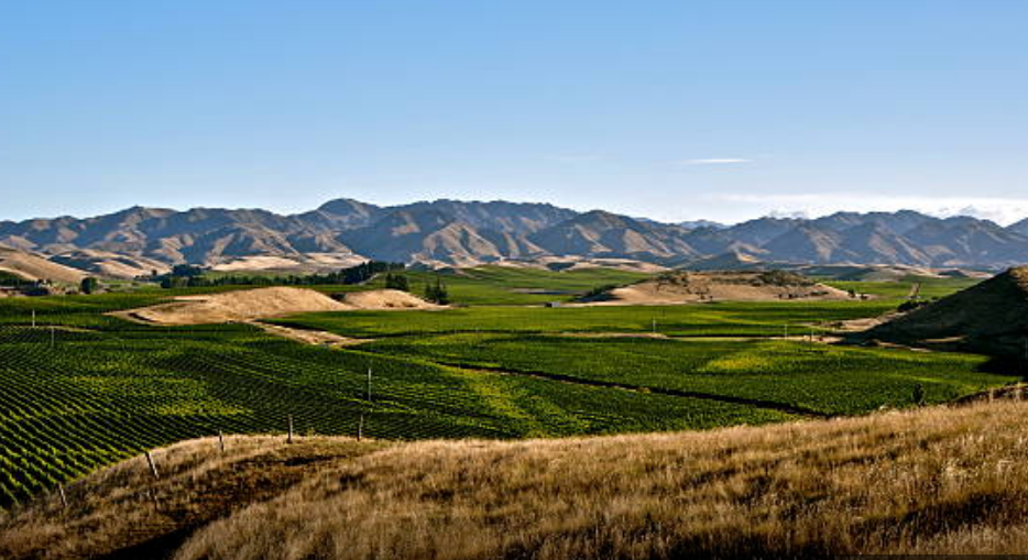 Screen Shot 2018-06-09 at 3.52.27 pm.png