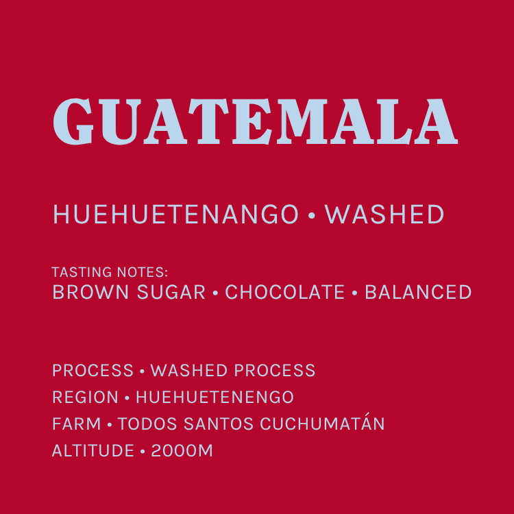 Huehuetenango • Guatemala • Washed