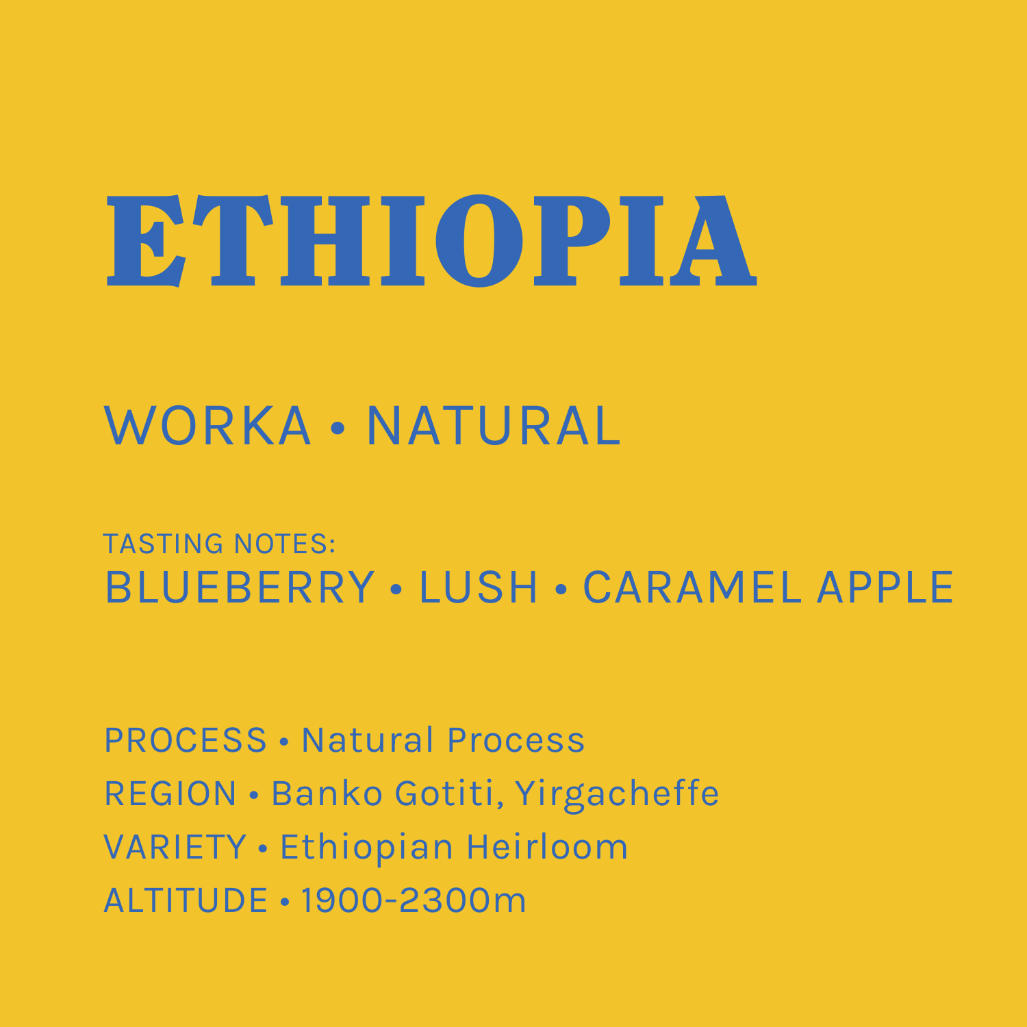 Worka • Ethiopia • Natural