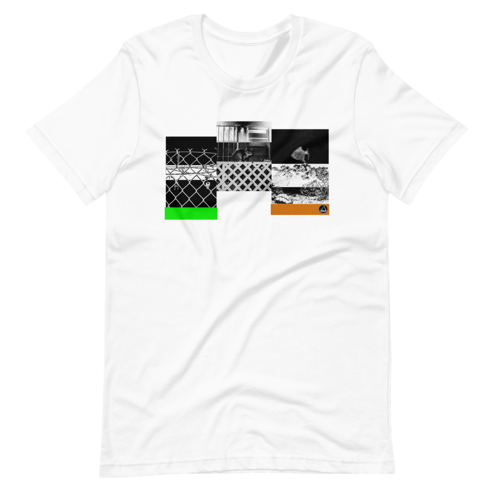 mockup-f81c209a.png