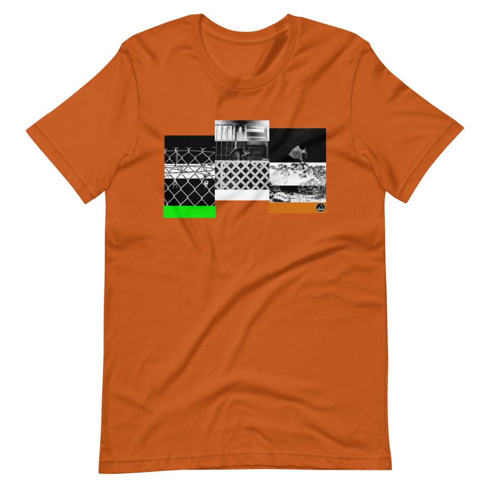mockup-843df691.png