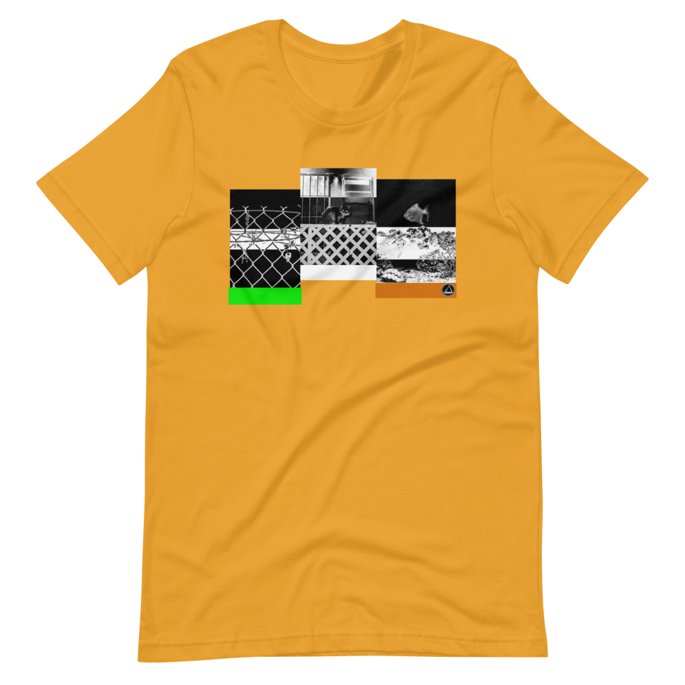 mockup-2226c017.png