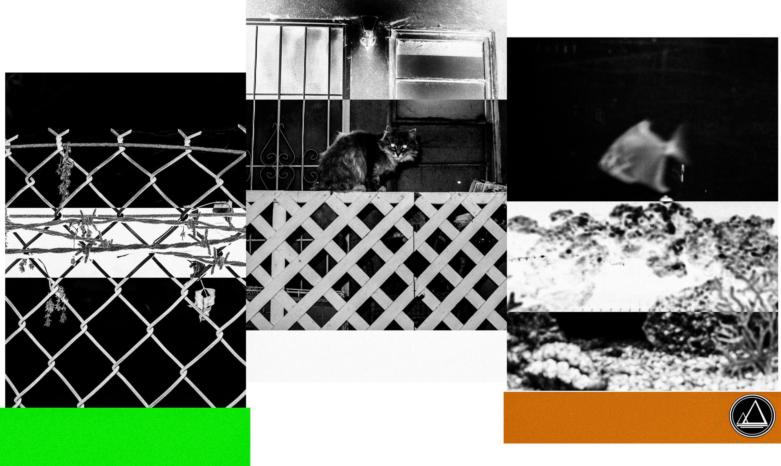 GRv1 (1).png