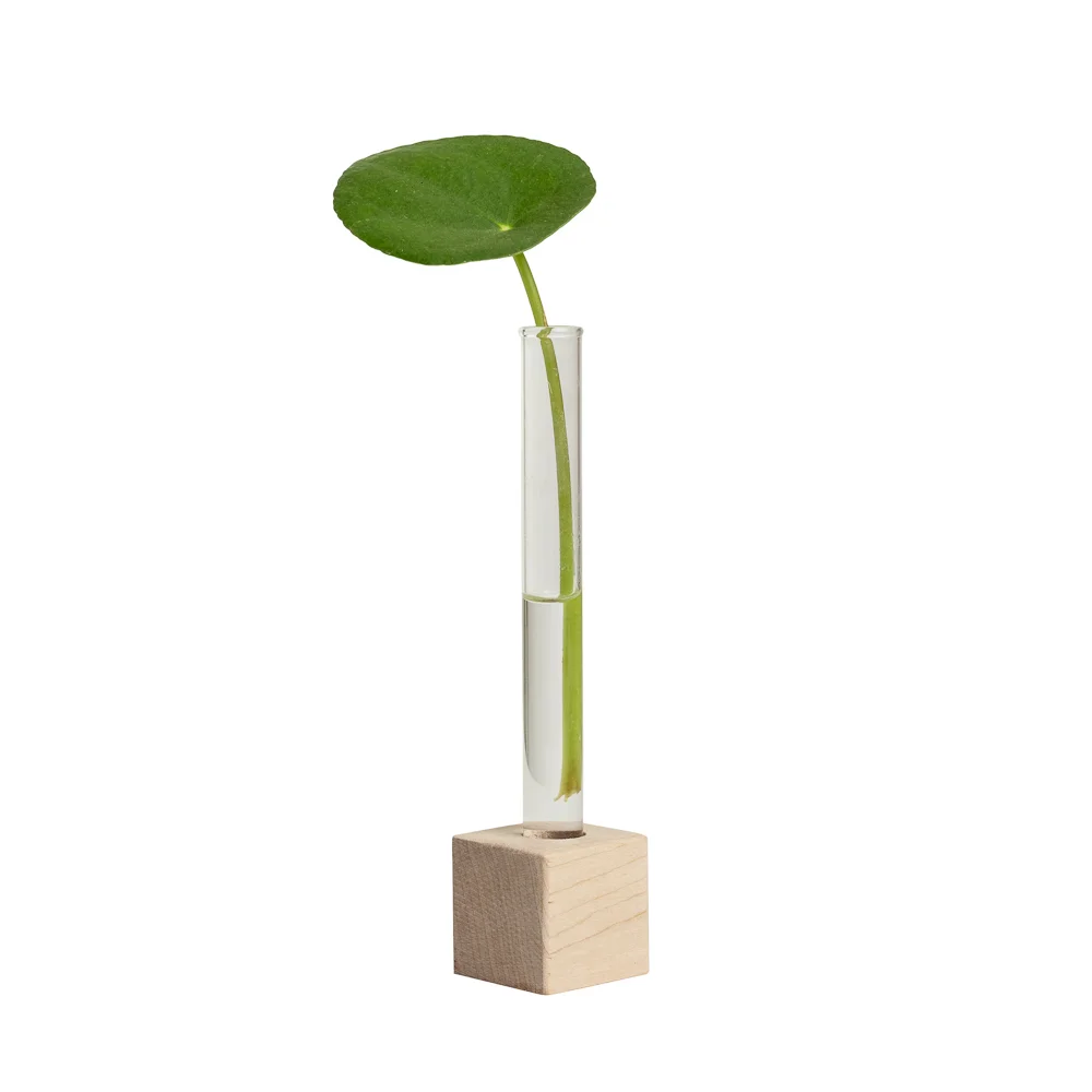 PROP1_SIDE_PILEA_WEB.jpg