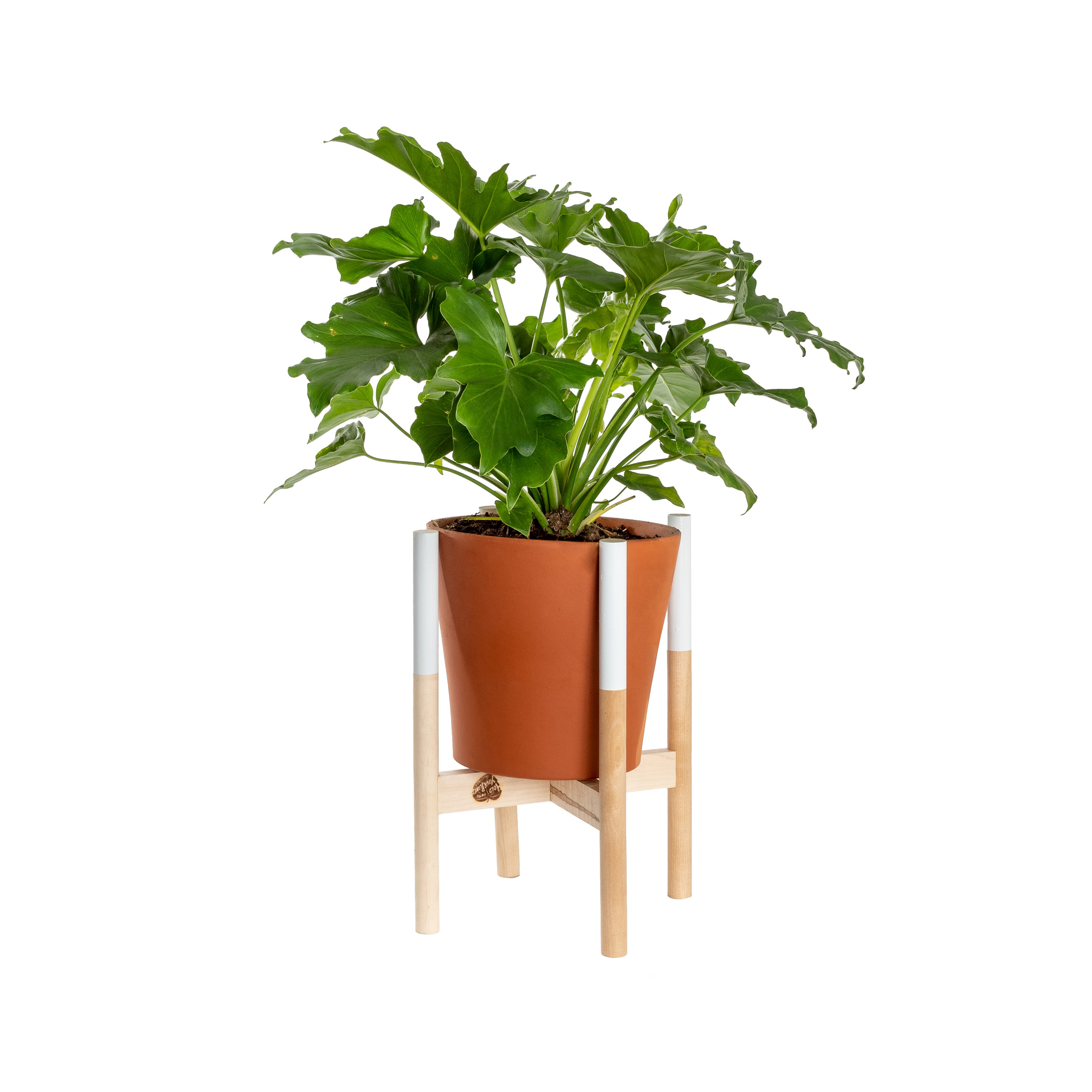 Hold on to Your Plants-10" Modern Plant Stand