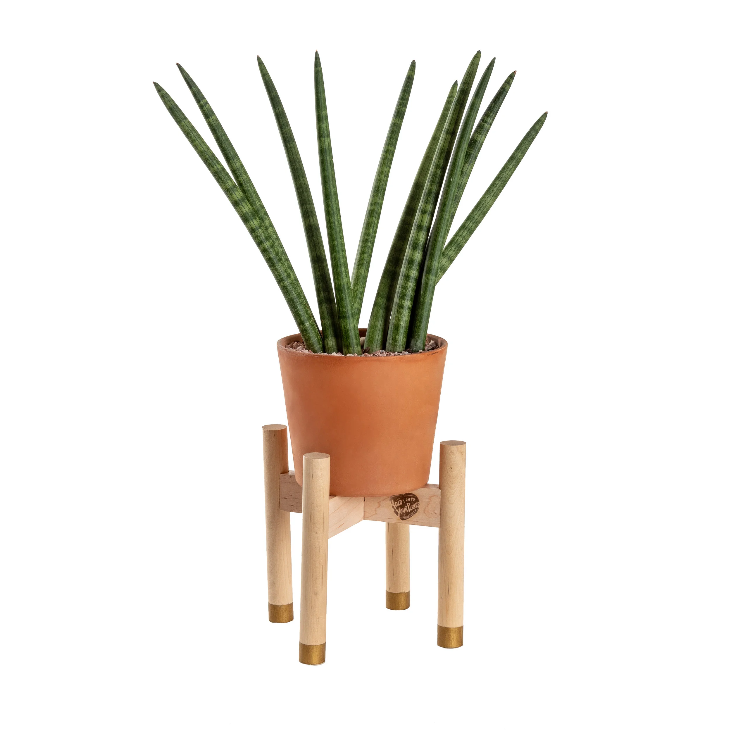 Hold on to Your Plants-Gold Feet Plant Stand 6"