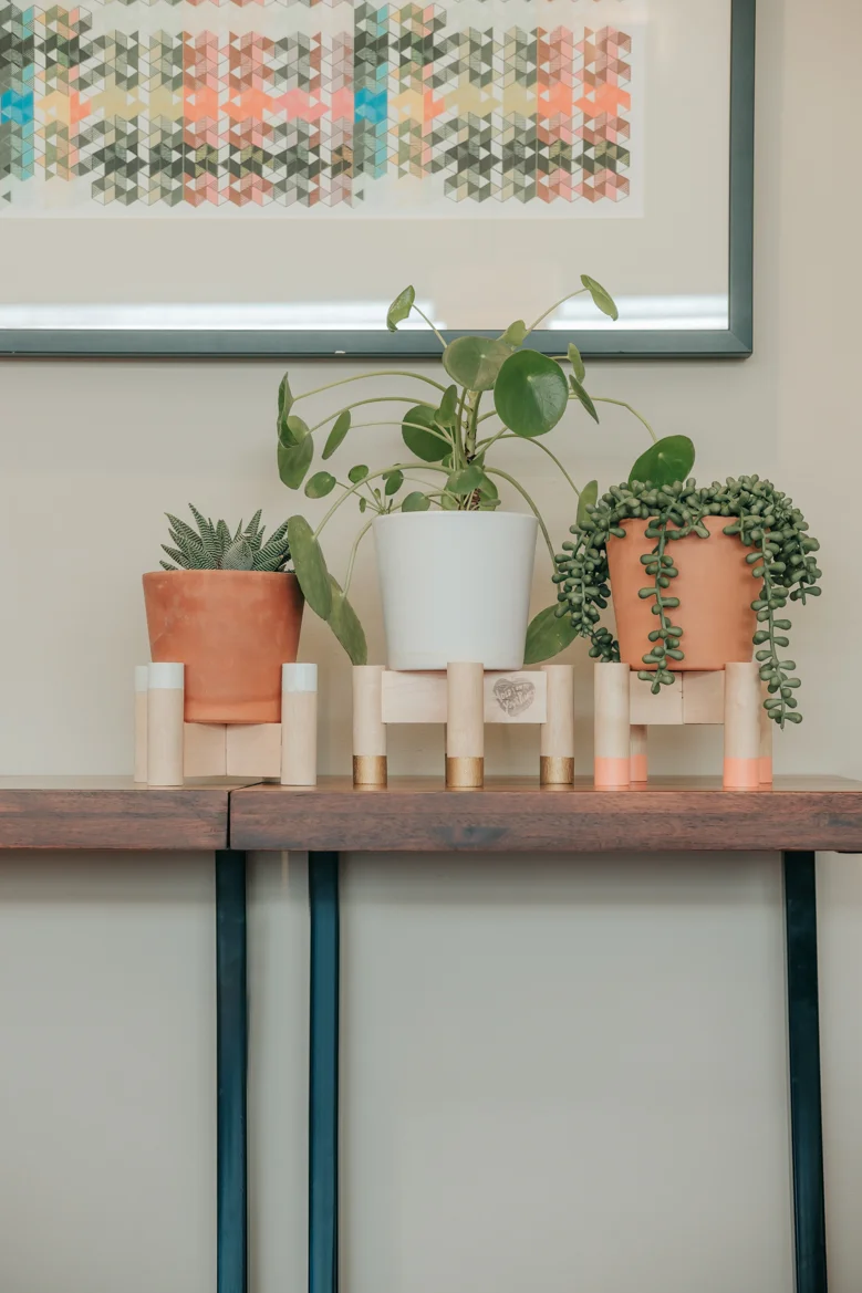 Plant gang