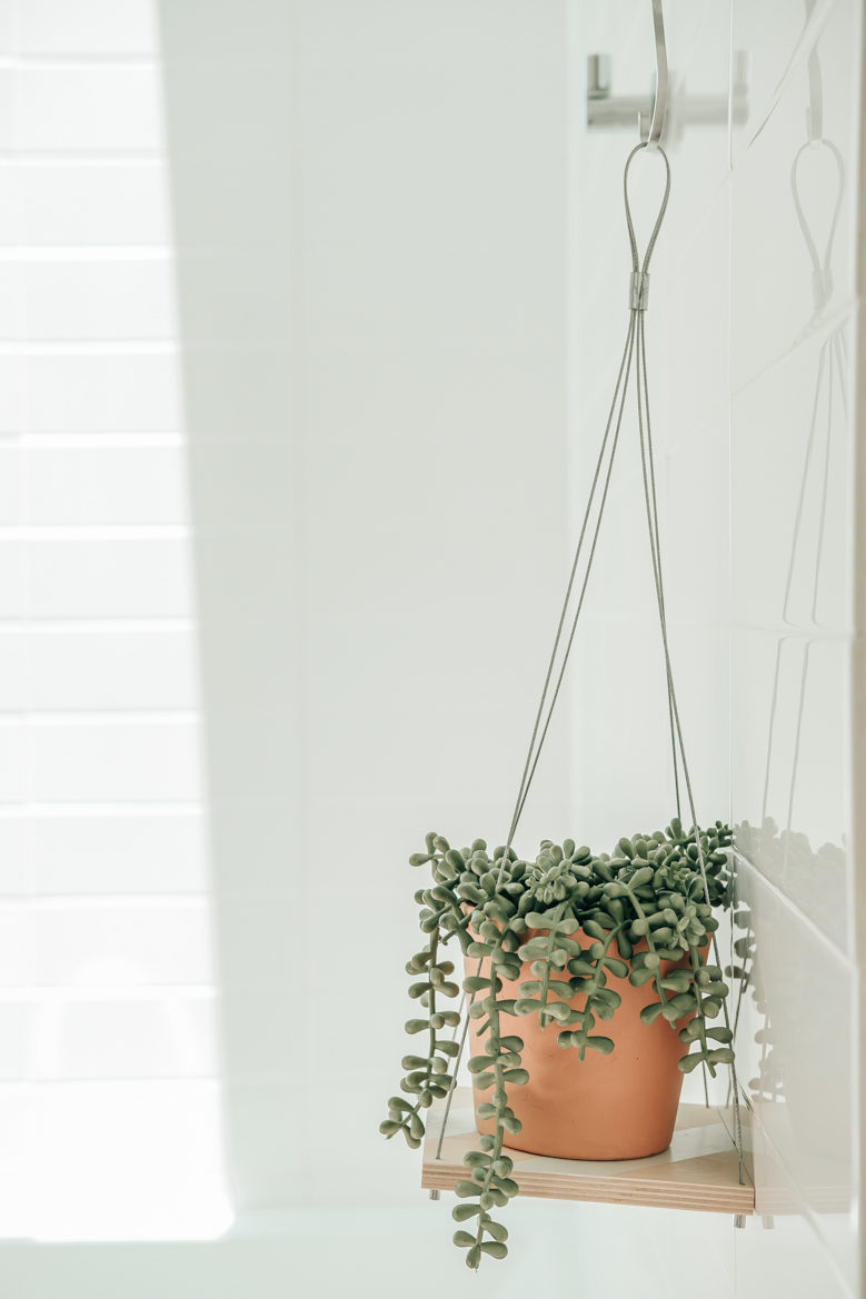 13-Plant hanger interior design.jpg