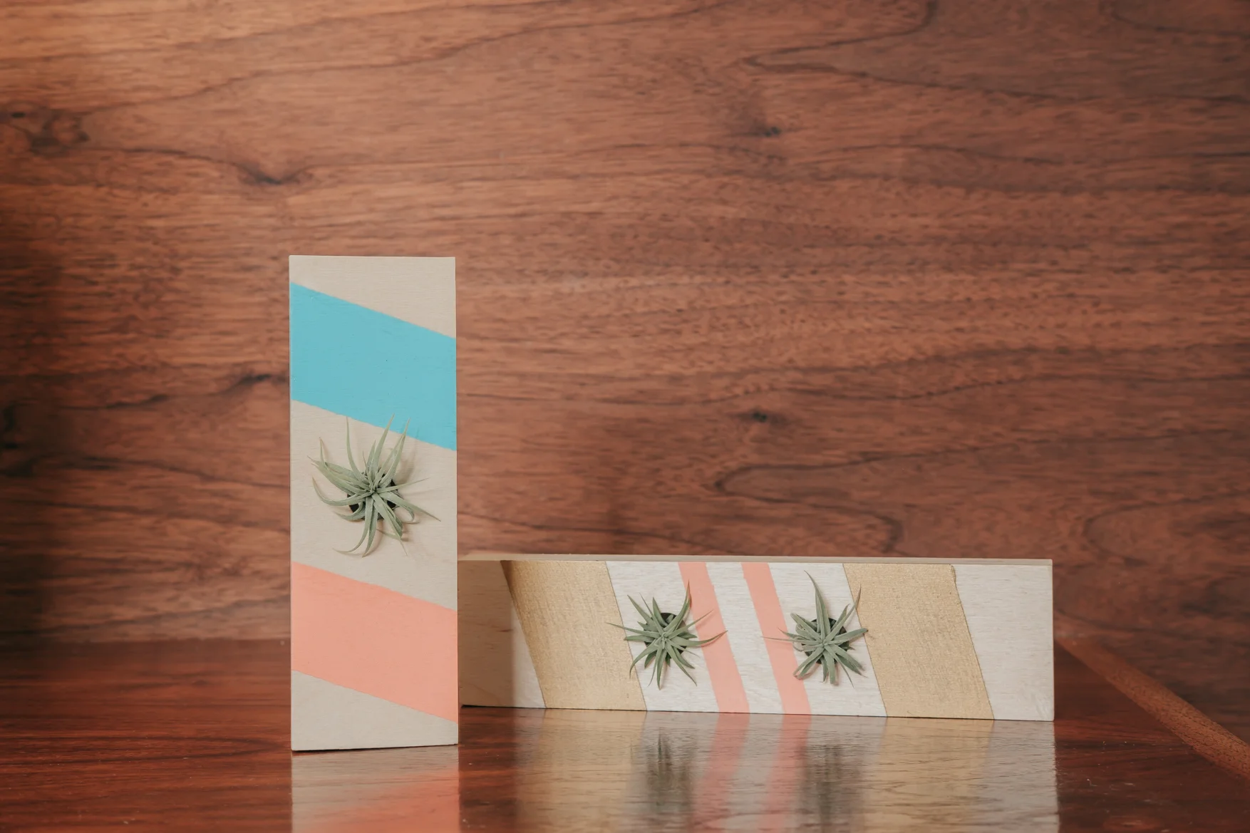 25-airplant holders bedside close up.jpg