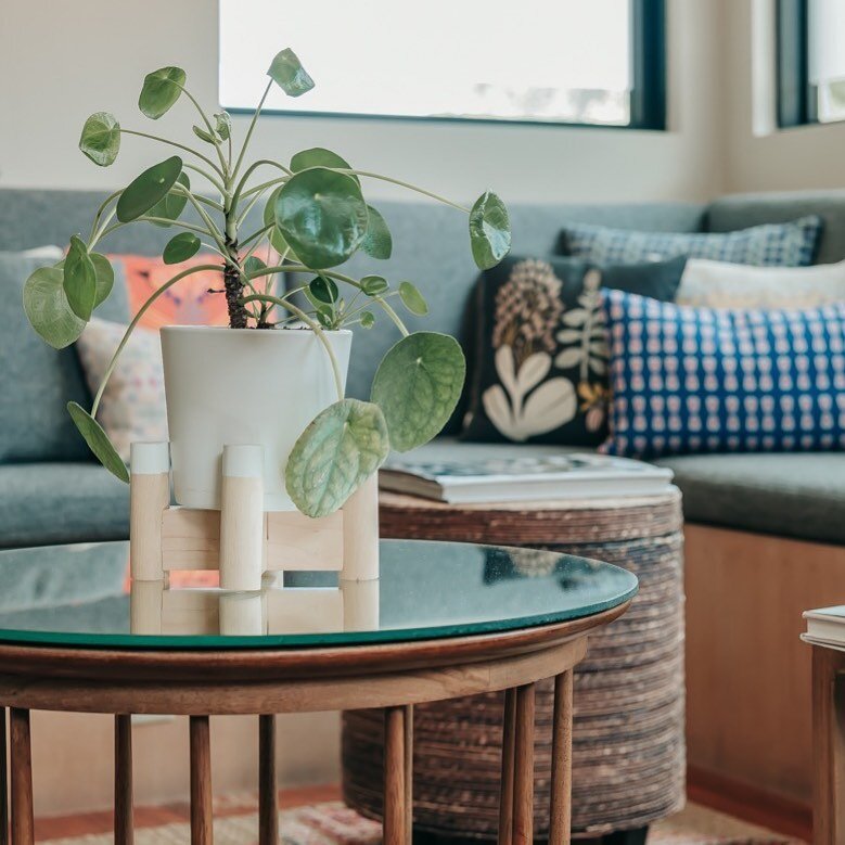 Sweet pilea in a mini stand. 💚I love this stand upside down and the way it hugs this pot. 
These minis are great to combine with a 4&rdquo; succulent to make a little gift a bigger gift with style!🌱☀️ 
.
.
📸 @faithkbphotography 
Styled @heywoodhot