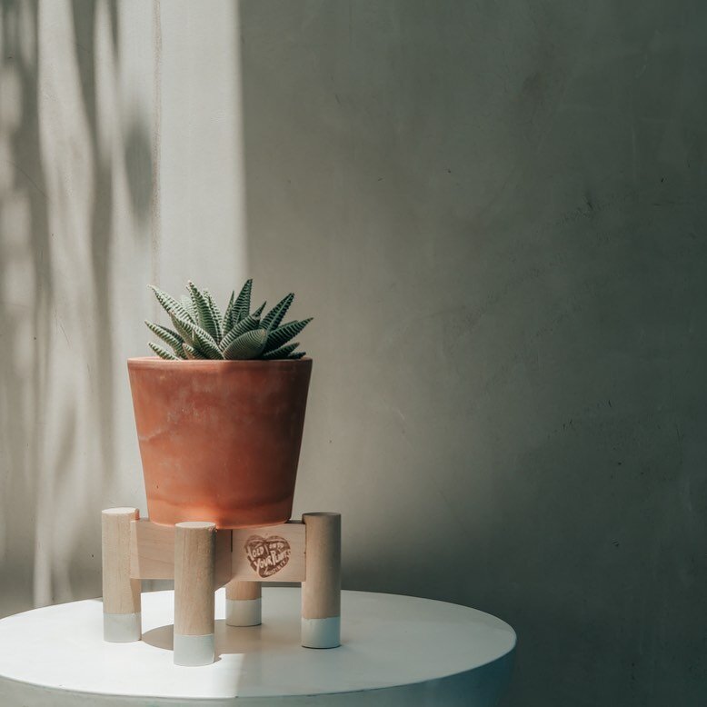 Made a lot of these mini white plant stands recently! Love this moody photo @faithkbphotography 
A little height and contrast can really showcase a little cactus or house plant!🌱💚
.
.
#succulentlovers #planter #plantstands #mood #terracotta #cactus