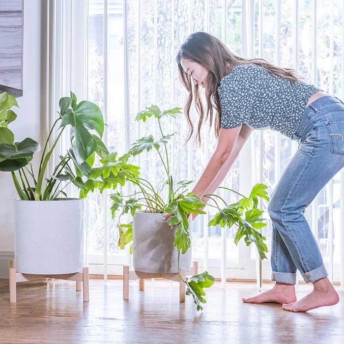 Hold on to Your Plants-NEW Low and Wide Plant Stands