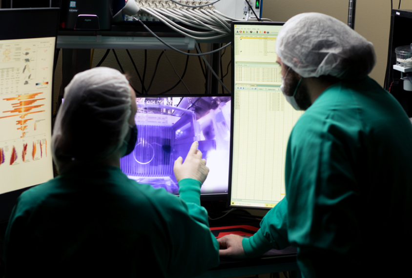 People — Golden Lab