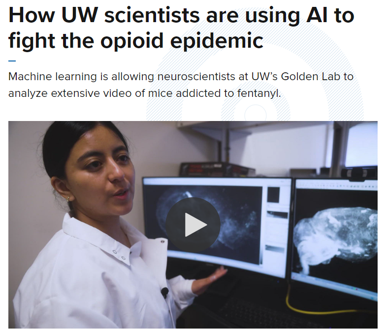 Golden Lab highlighted by KING5 news!