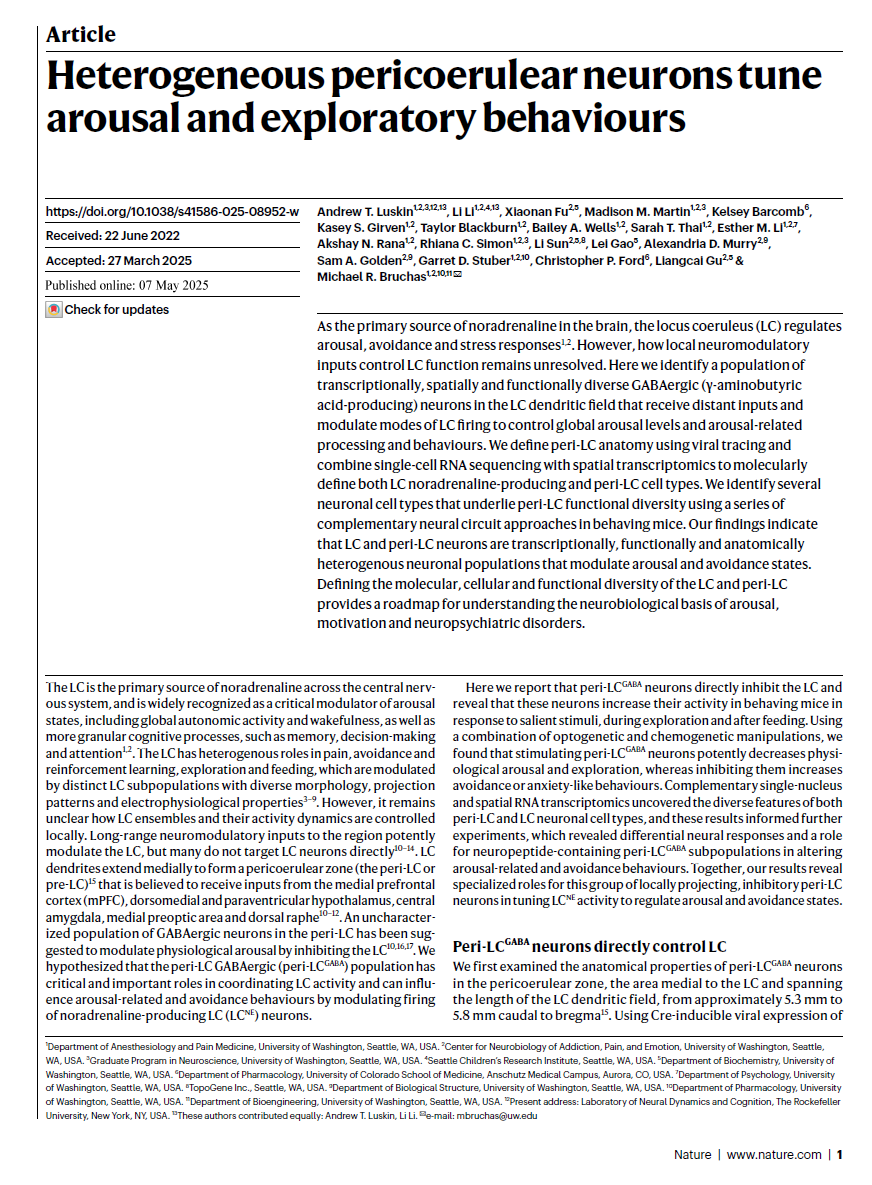 Collaboration with Bruchas lab published in Nature!