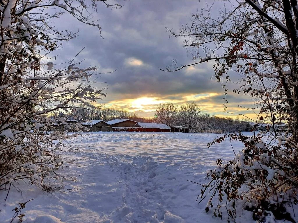 Snowy landscape near Varese, Italy - Photo Credit: Laura Vescovo