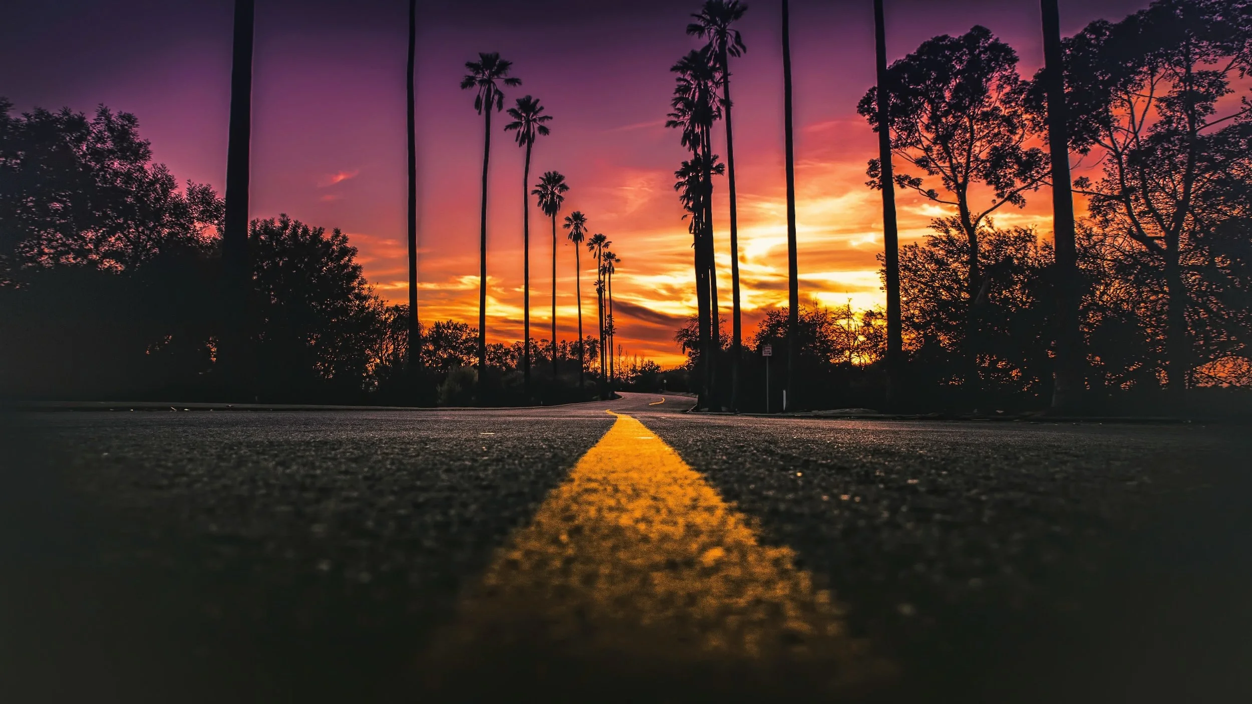 California Website .jpg