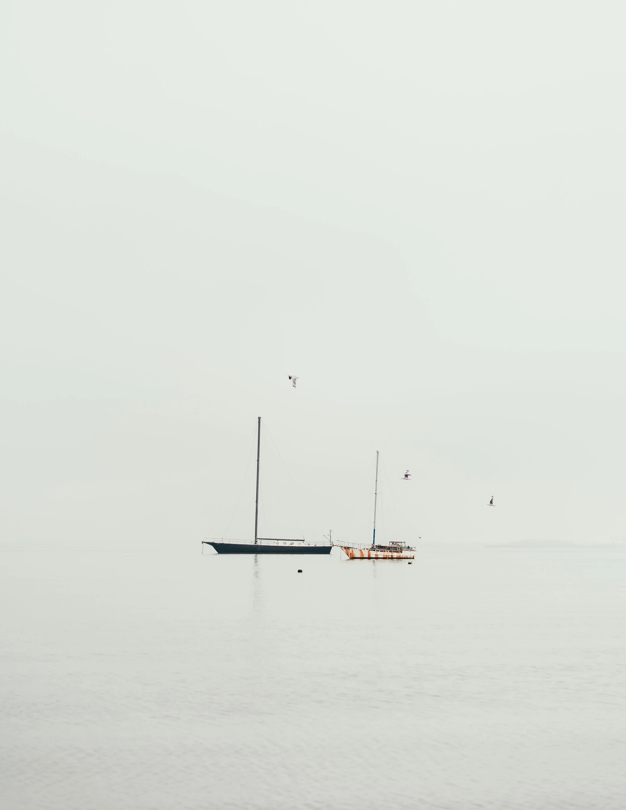 St Kilda in fog-1.jpg