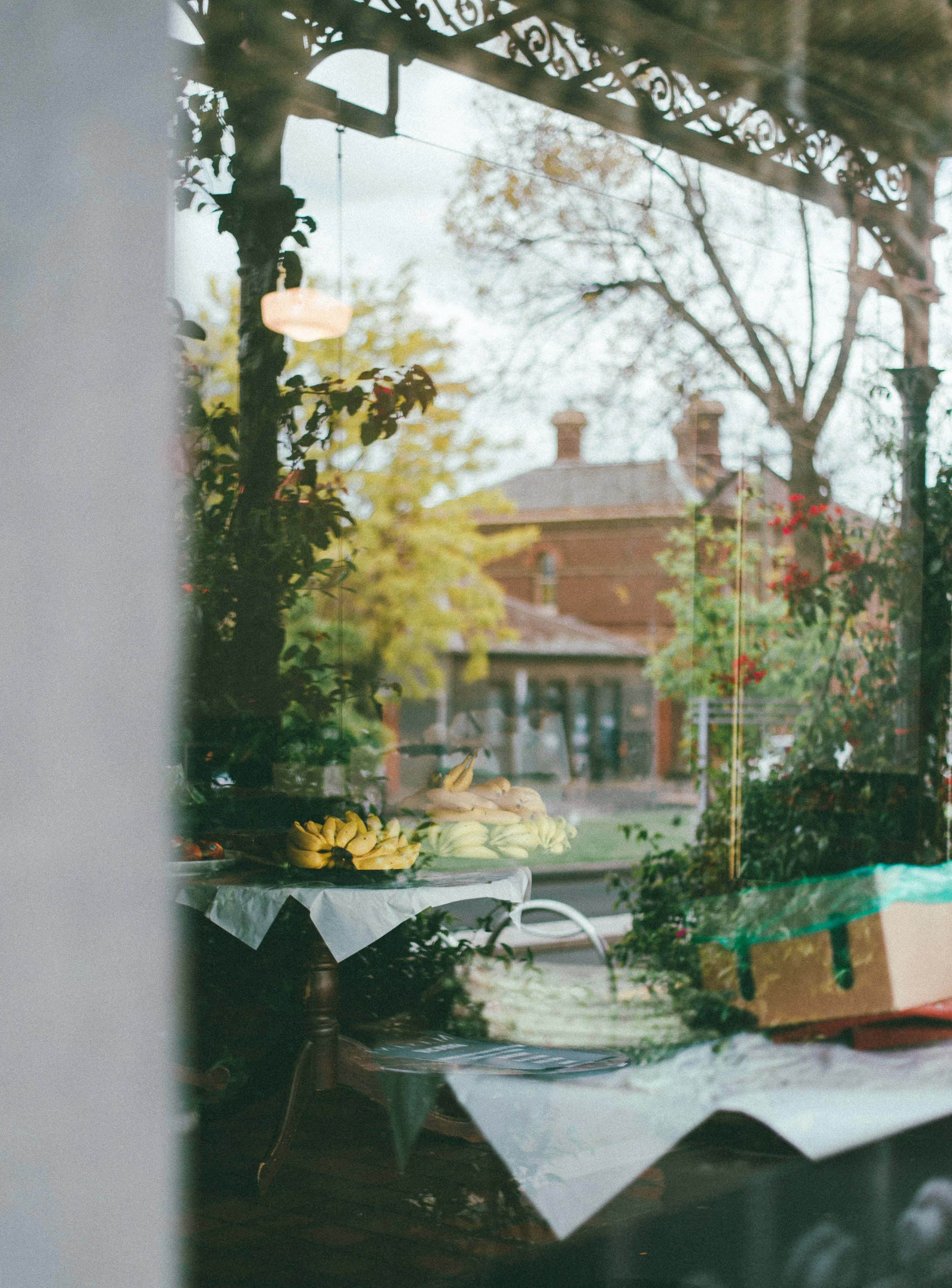 Lockdown Memories.jpg