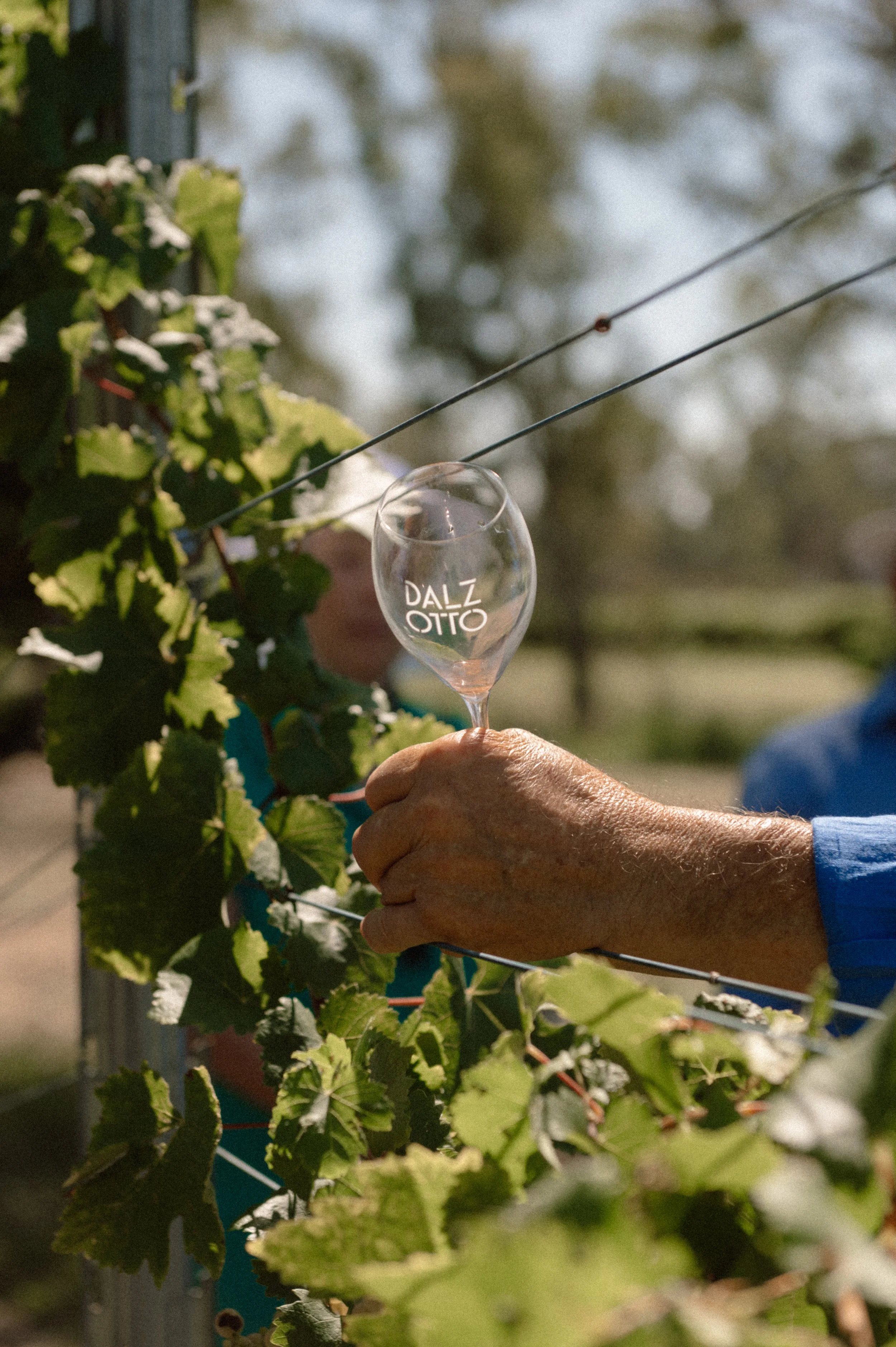 Cento Passi Highlight-5.jpg