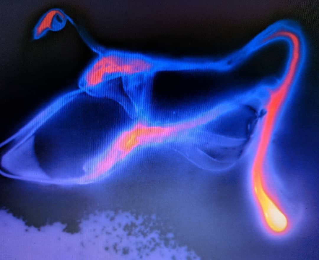 Infra red image of pyrography with UV illuminated uranium glass