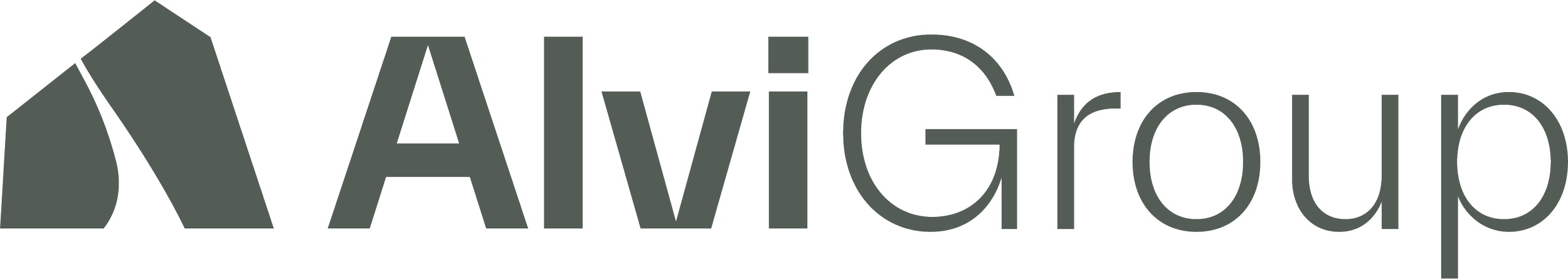 Alvi Group.png