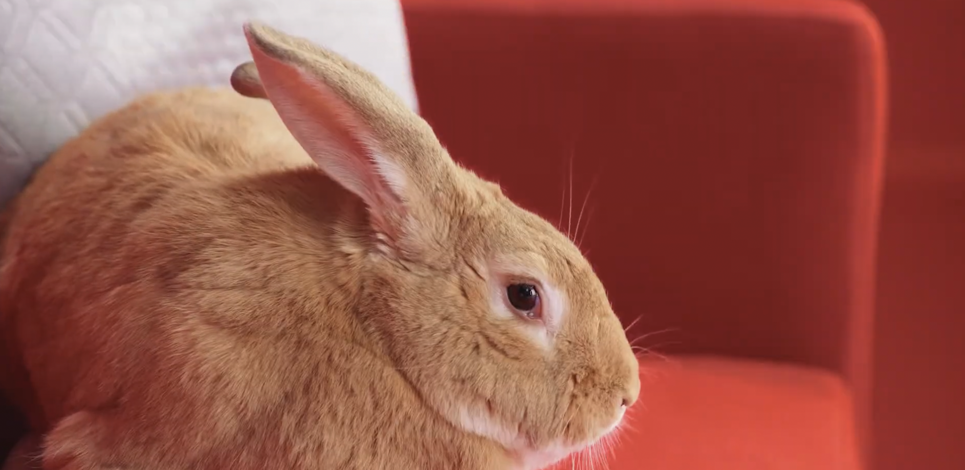 Screen Shot 2025-10-21 at 9.12.43 pm.png