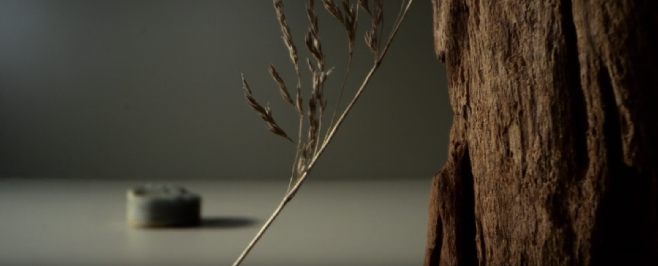 Screen Shot 2025-10-21 at 9.26.52 pm.png