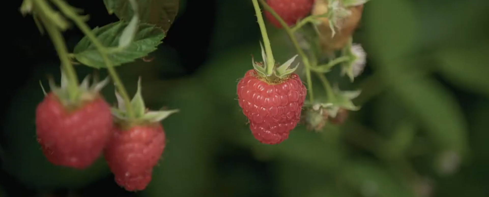 Screen Shot 2025-10-21 at 9.45.26 pm.png