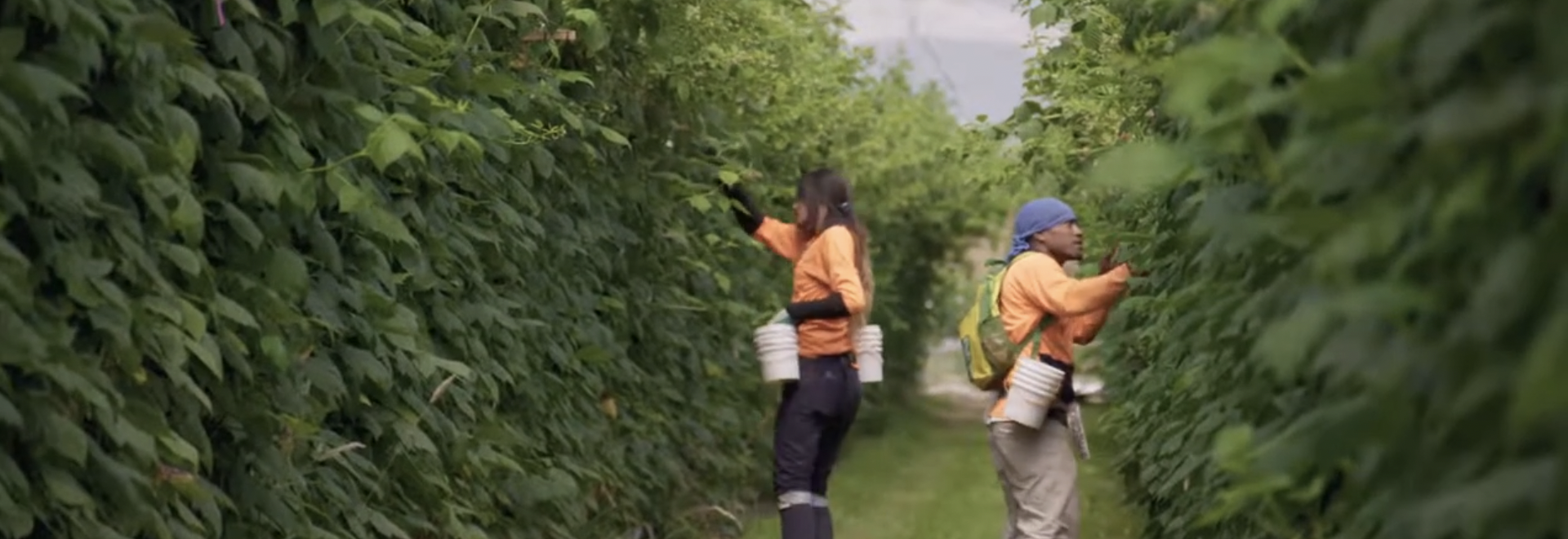 Screen Shot 2025-10-21 at 9.45.45 pm.png