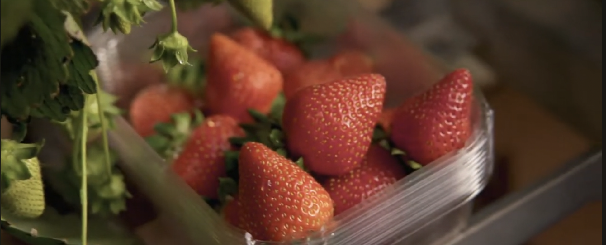 Screen Shot 2025-10-21 at 9.46.34 pm.png