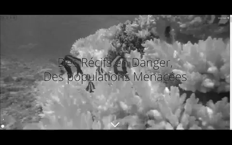 Endangered Reefs, Threatened People. Produced for GRID-Arendal. (2016).