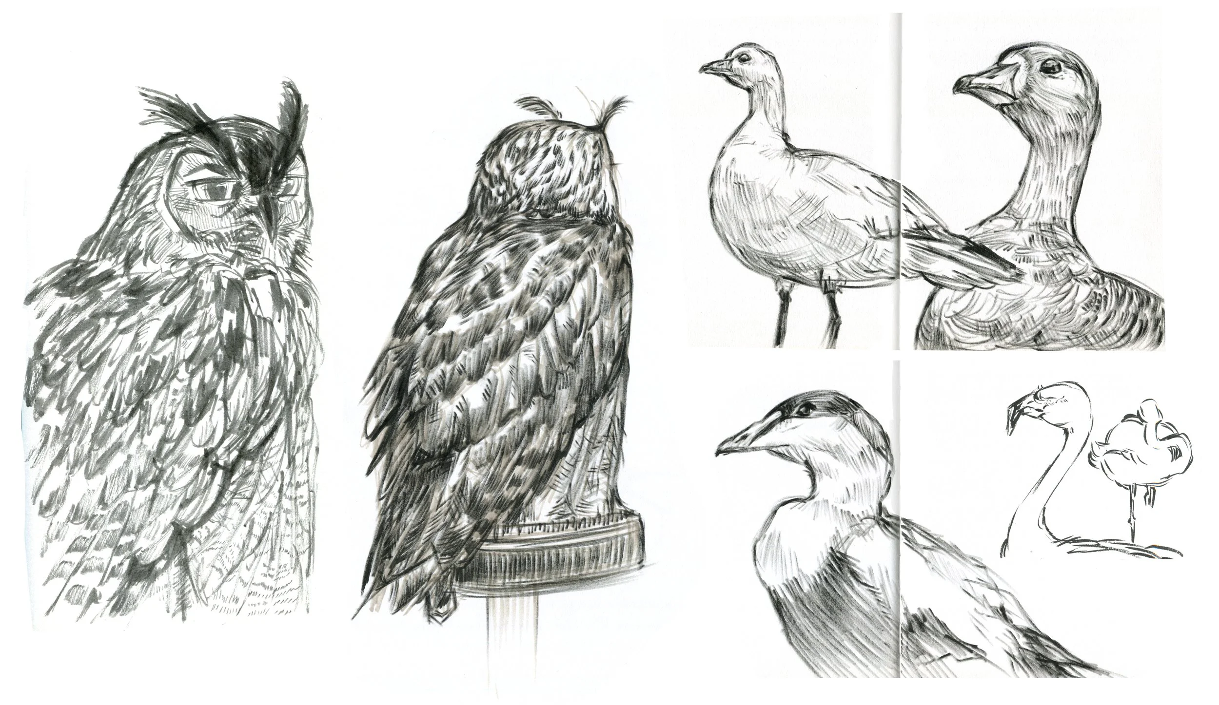 sketches1.jpg