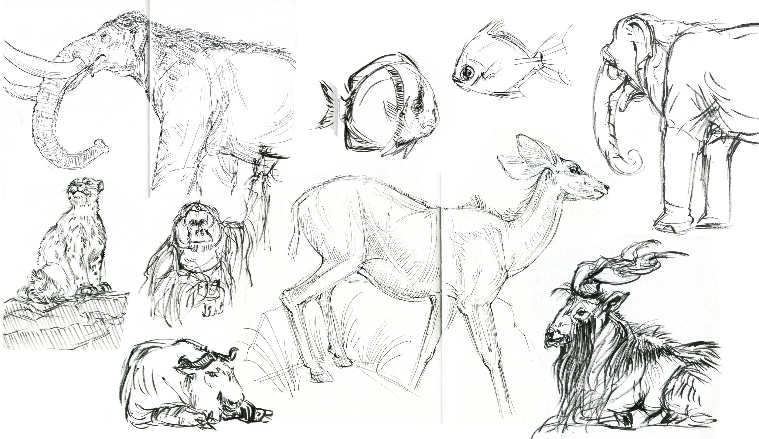 sketches3.jpg