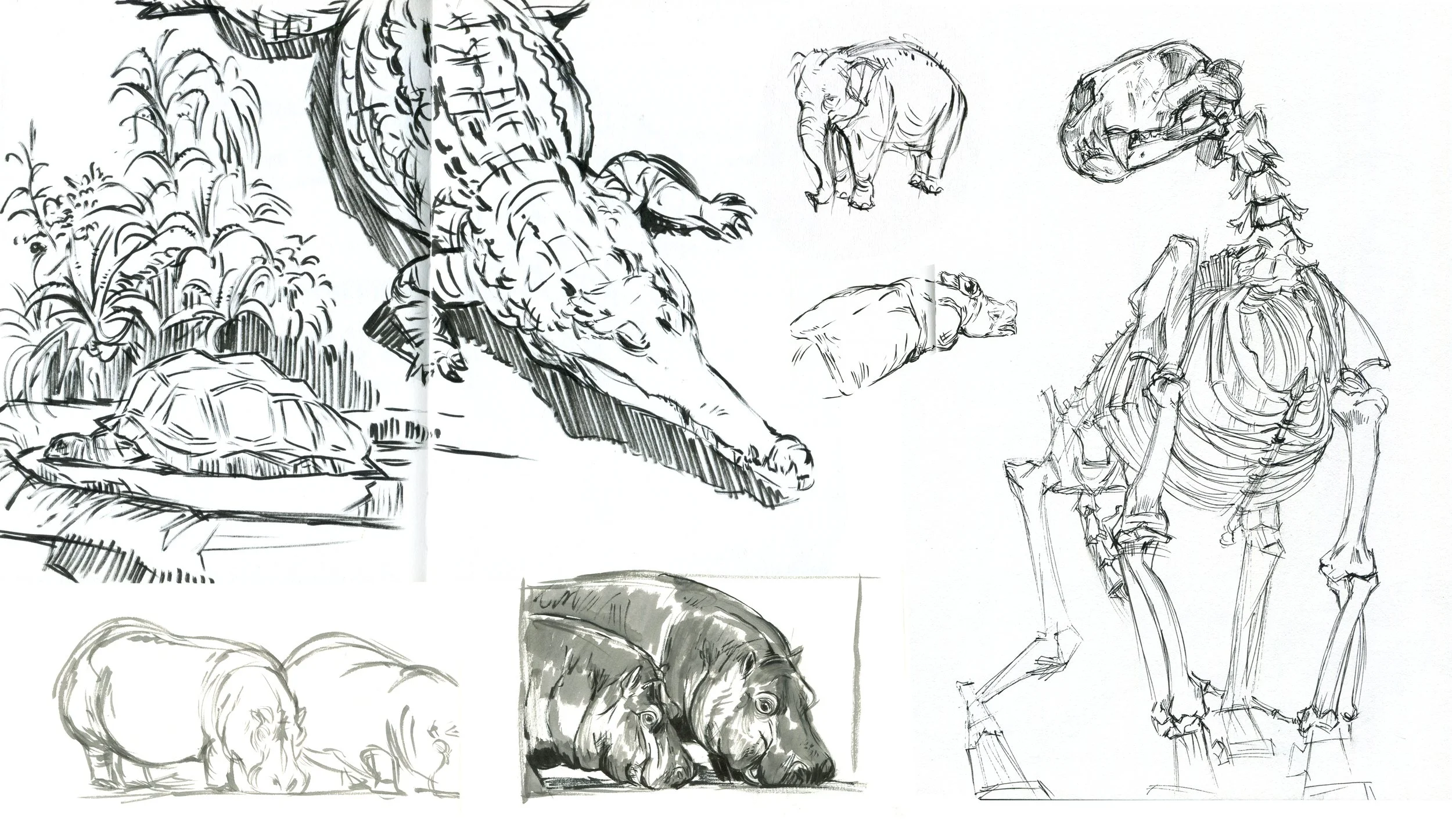 sketches2.jpg