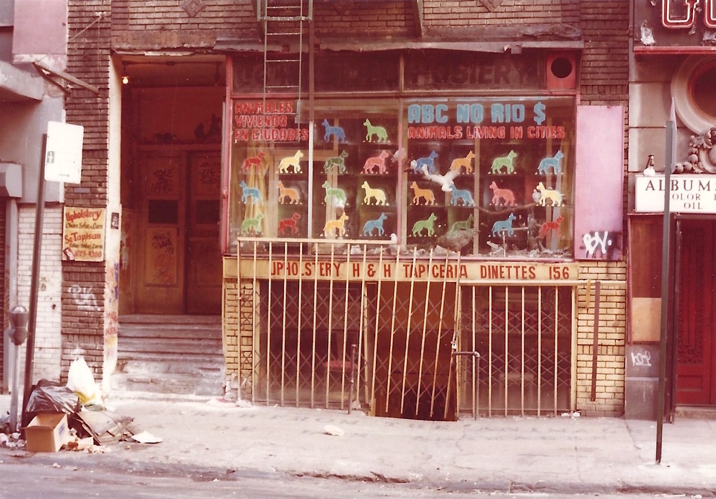 Anton Van Dalen’s stencil display for ABC No Rio’s “Animals Living in Cities” (1980) Photo from Hyperallergic