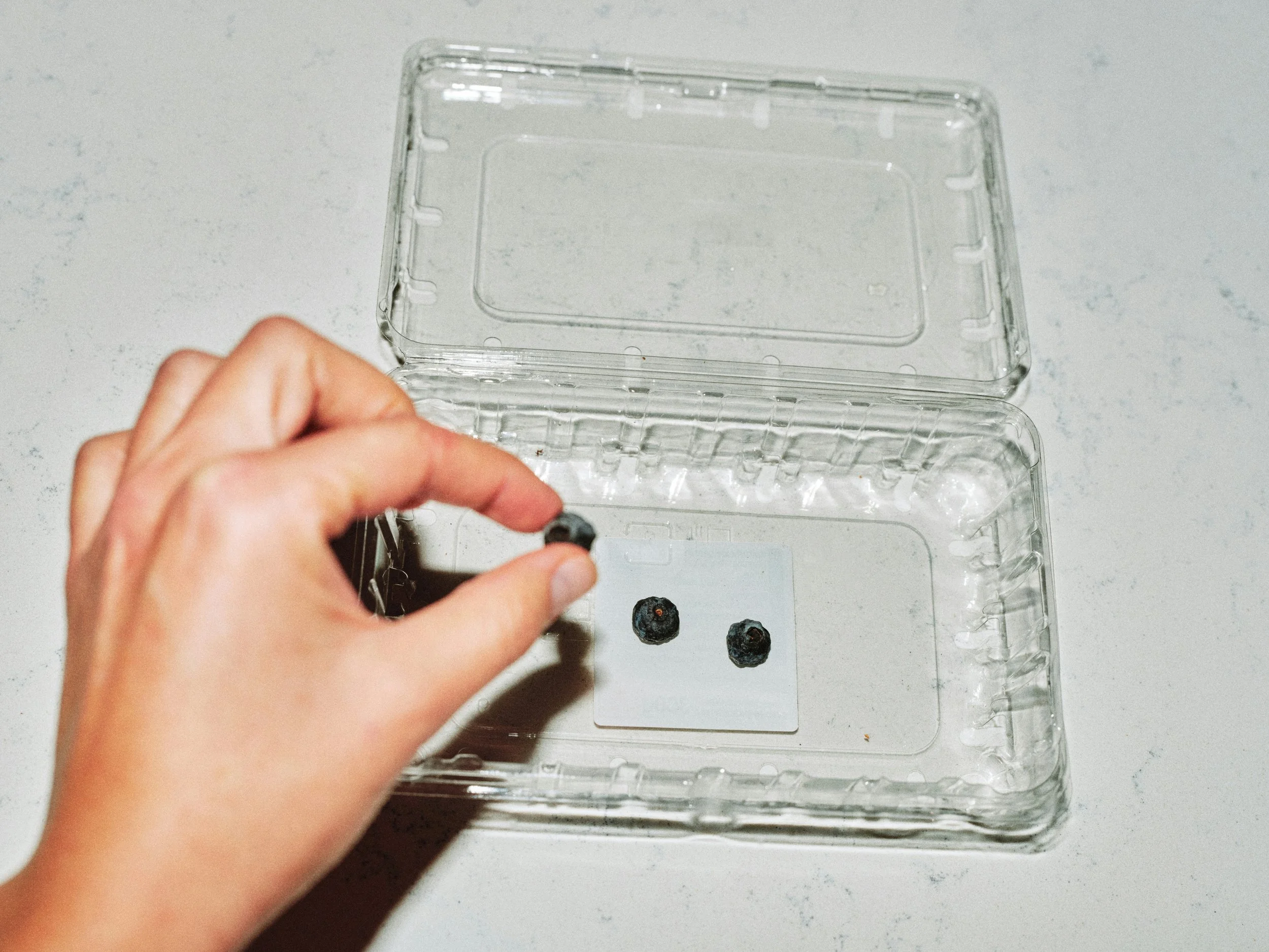 Blueberries in plastic container representing modern healthy diet habits, fibre intake and processed food choices