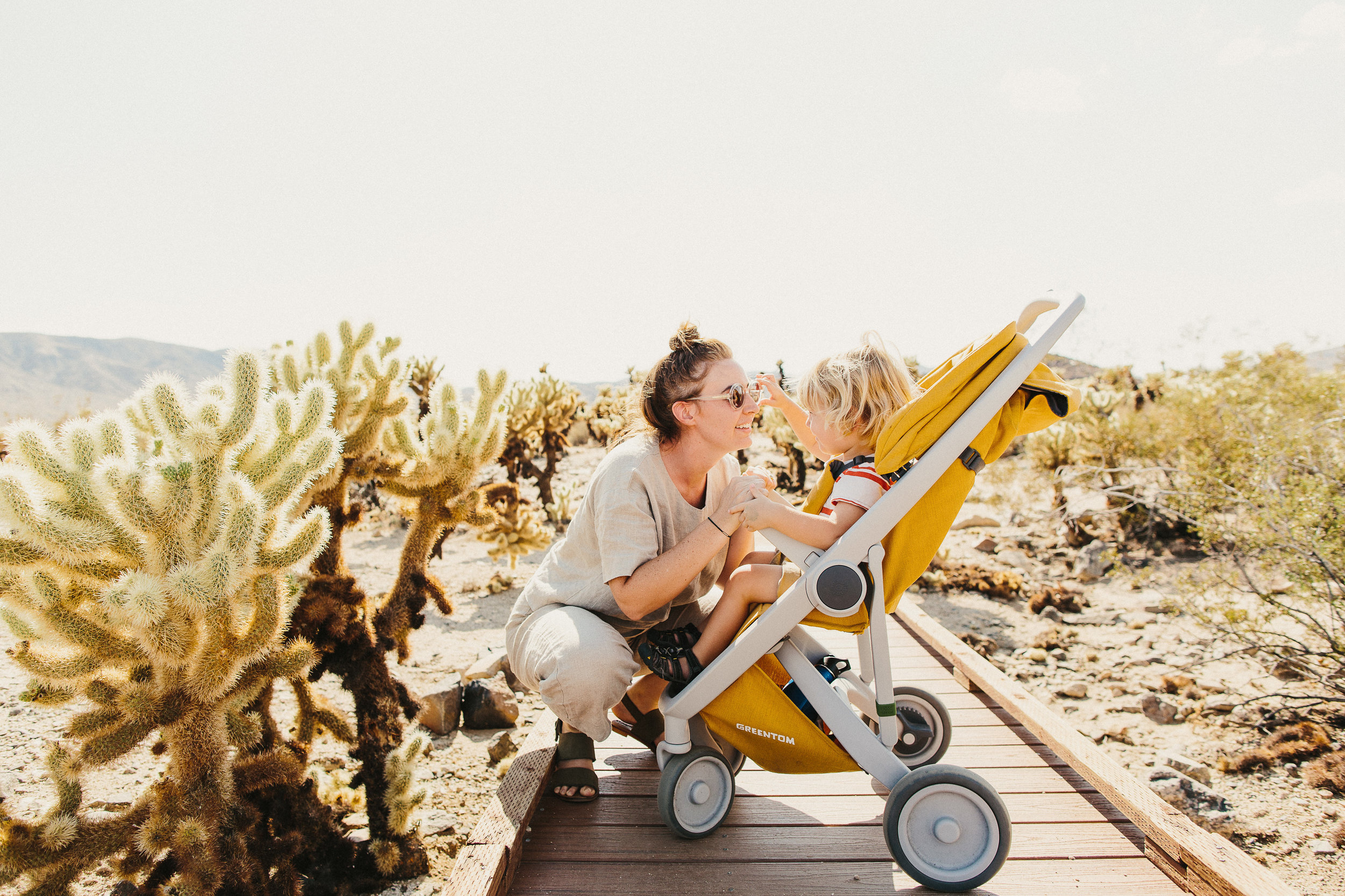 eco stroller